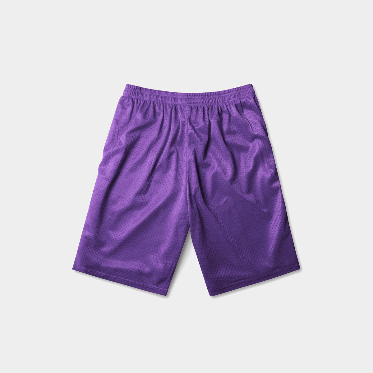 Men’s Athletic Mesh Shorts in champion mesh shorts_mesh biker shorts_mesh shorts mens_mesh basketball shorts_mesh bike shorts_mesh gym shorts_mesh gym shorts_Purple - Hat and Beyon