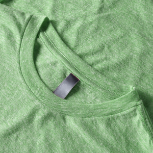 next level tri blend t shirt_best tri blend t shirts_men's tri blend t shirts_bella canvas triblend_bella triblend_Light Green