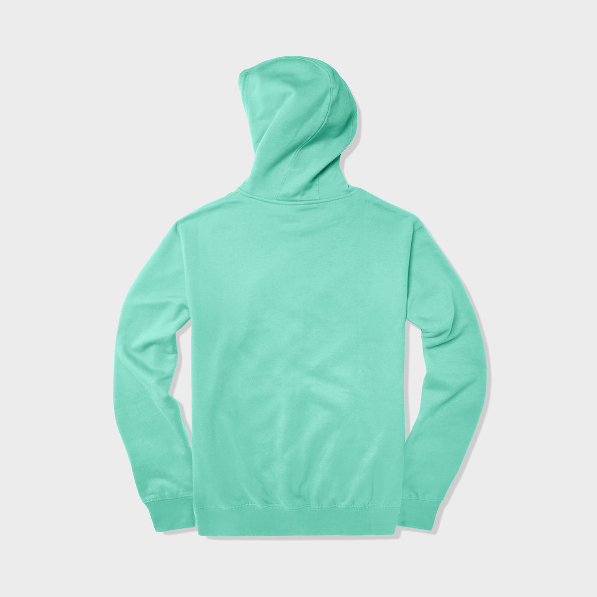 Men’s Pullover Hoodie in pullover hoodie_mens pullover hoodie_pullover sweatshirt_champion pullover hoodie_hooded pullover_heavyweight pullover hoodie_Aqua - Hat and Beyond hoodie