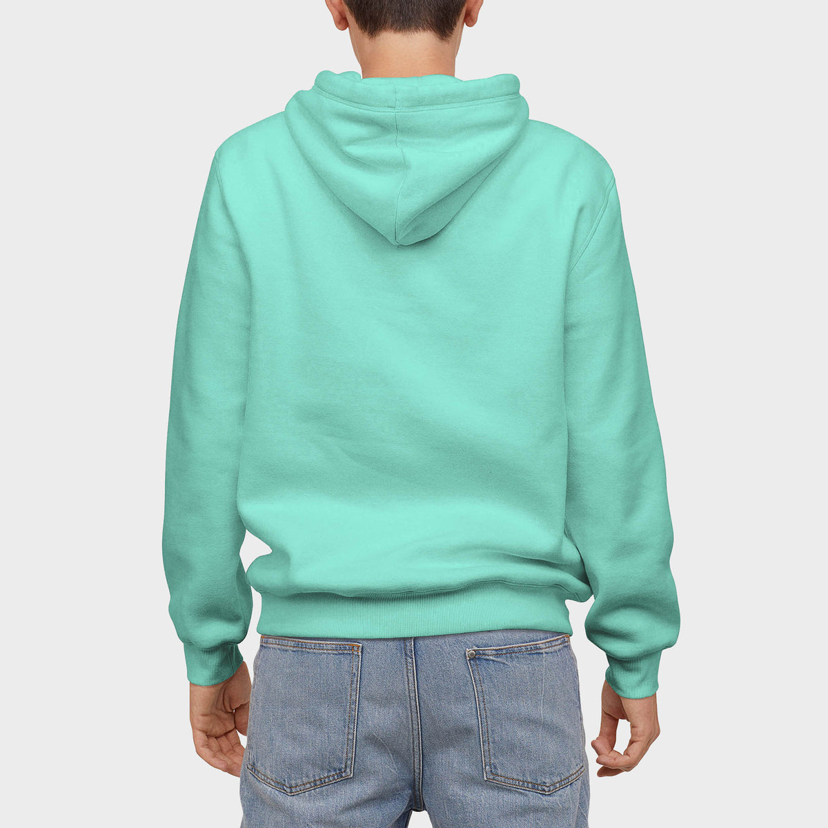 Men’s Pullover Hoodie in pullover hoodie_mens pullover hoodie_pullover sweatshirt_champion pullover hoodie_hooded pullover_heavyweight pullover hoodie_Aqua - Hat and Beyond hoodie