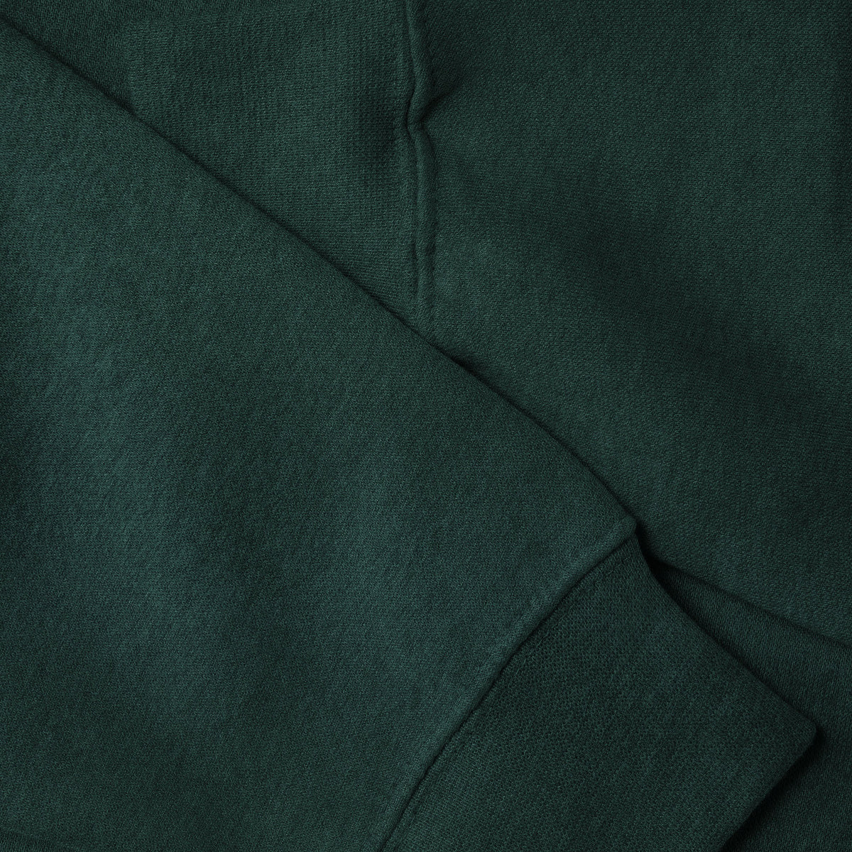 Men’s Pullover Hoodie in pullover hoodie_mens pullover hoodie_pullover sweatshirt_champion pullover hoodie_hooded pullover_heavyweight pullover hoodie_Forest Green Caviar - Hat and