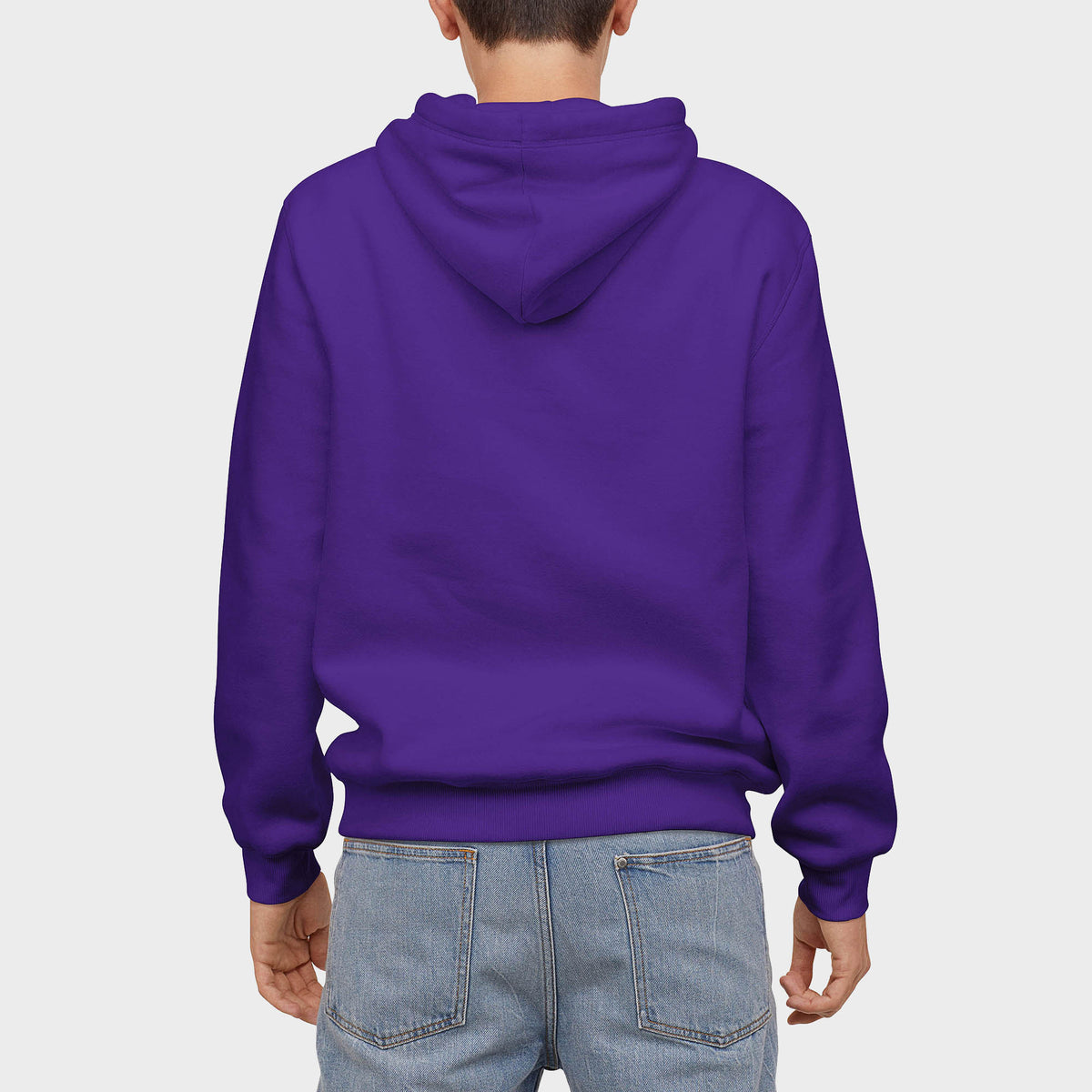 Men’s Pullover Hoodie in pullover hoodie_mens pullover hoodie_pullover sweatshirt_champion pullover hoodie_hooded pullover_heavyweight pullover hoodie_Purple - Hat and Beyond hoodi
