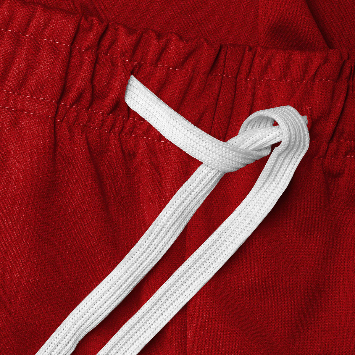 Men’s Two Tone Joggers in jogger_striped joggers_striped sweatpants_velvet joggers mens_sweatpants_side stripe joggers mens_champion sweatpants_champion joggers_mens joggers_Red/Bl